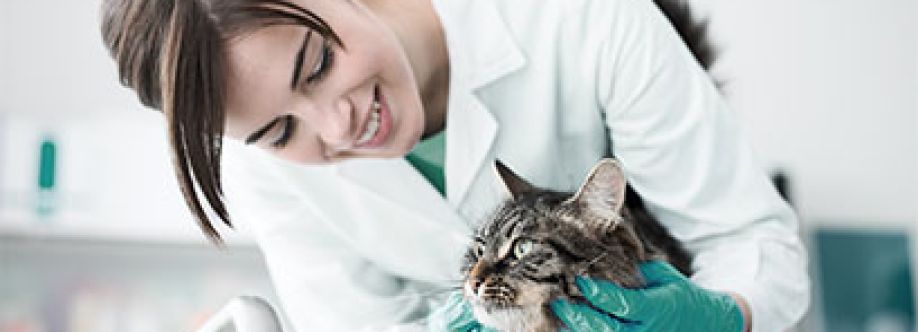 Wayne Diamond Cover Image