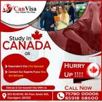 Can Visa Consultant Profile Picture