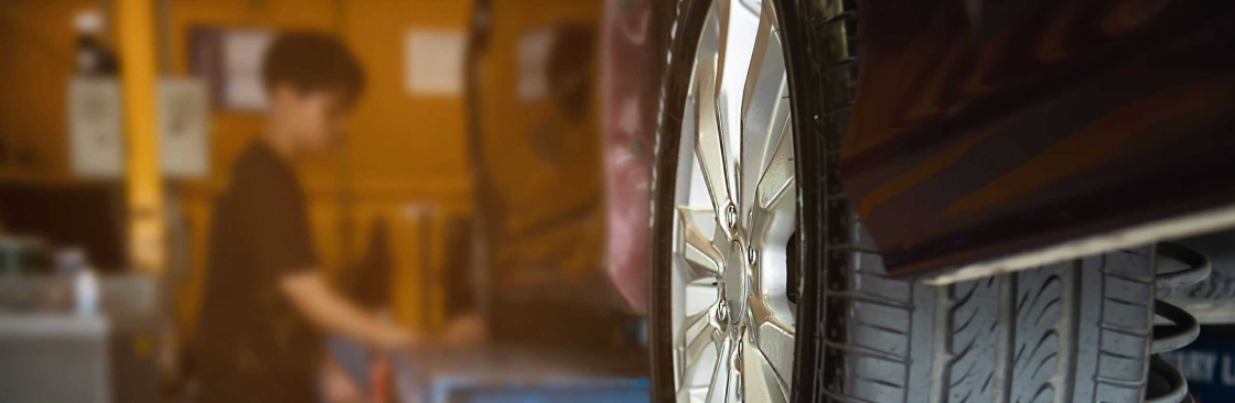 Baja cat Cover Image