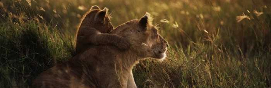 Ashford Tours Cover Image