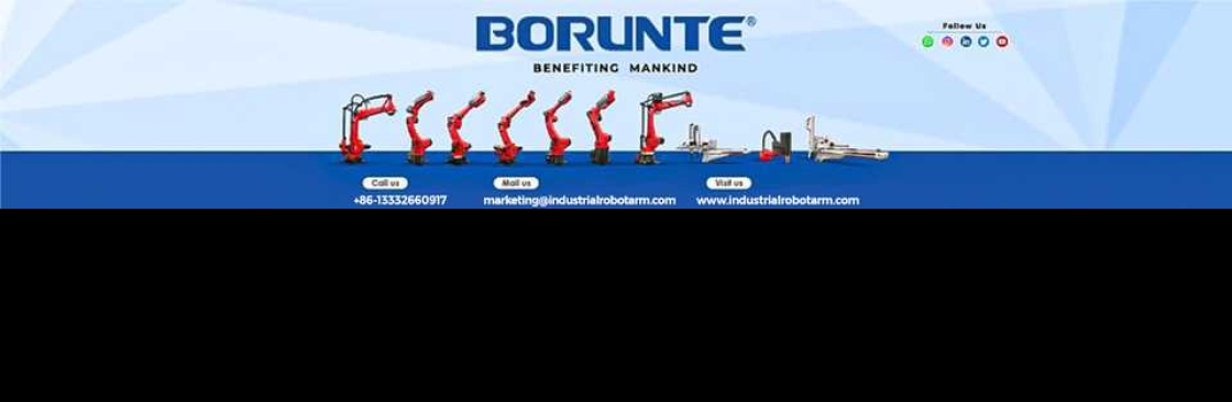 Borunte Robots Cover Image