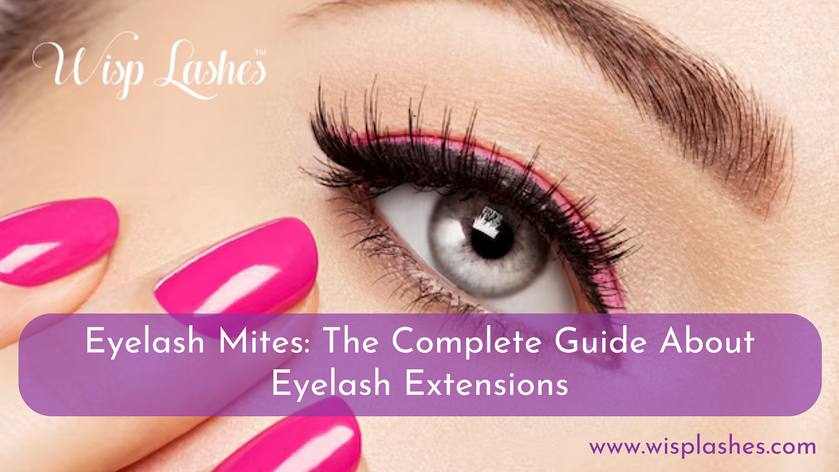 Eyelash Mites: The Complete Guide About Eyelash Extensions | by Josephclark | Apr, 2023 | Medium