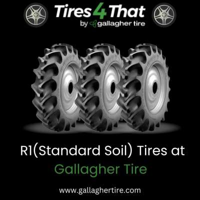 R1(Standard Soil) Tires Profile Picture