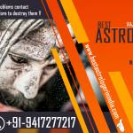 Best Astrologer in India Profile Picture