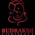 rudraksh shrimali profile picture