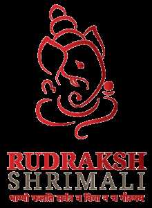 rudraksh shrimali Profile Picture