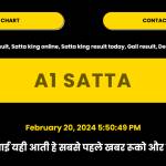 a1satta net1 Profile Picture