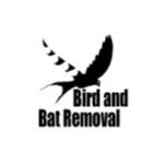 birdandbat removal Profile Picture