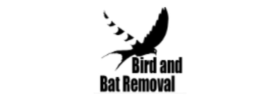 birdandbat removal Cover Image