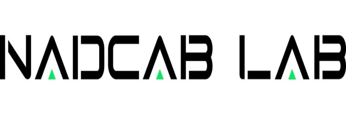 Crypto Wallet Development Services Cover Image