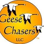 Geese Chasers Profile Picture