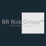 BR Risk Group Specialty Insurance Profile Picture
