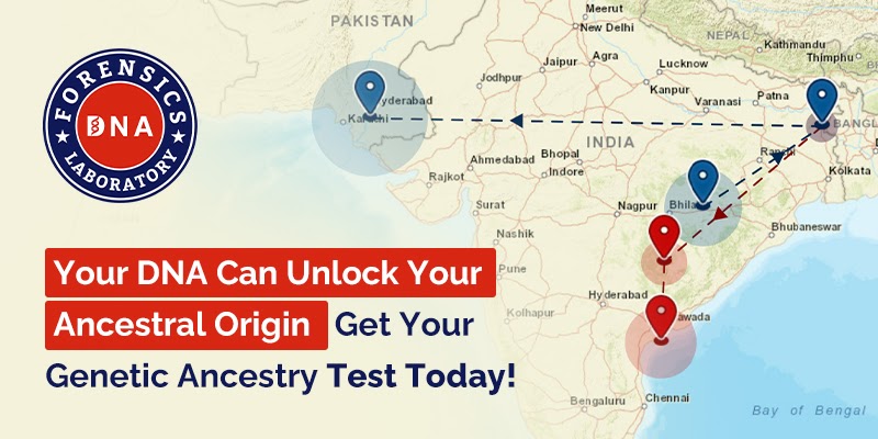 Discover Your True Heritage: Why Genetic Ancestry Testing is Your Gateway to the Past